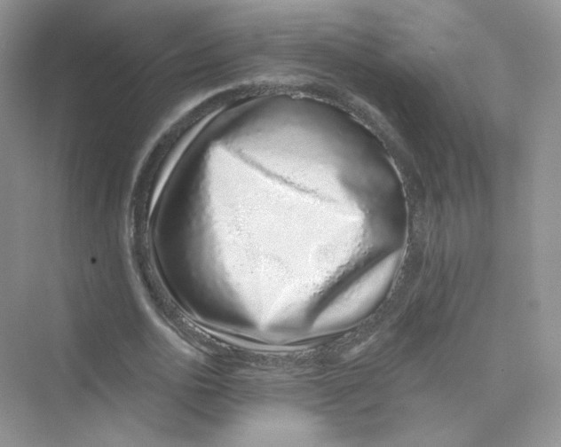 X0000075340726200609292034