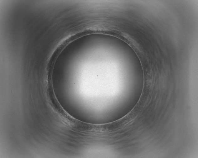 X0000075340727200609292034