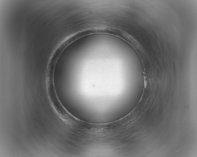 X0000075340728200609292034