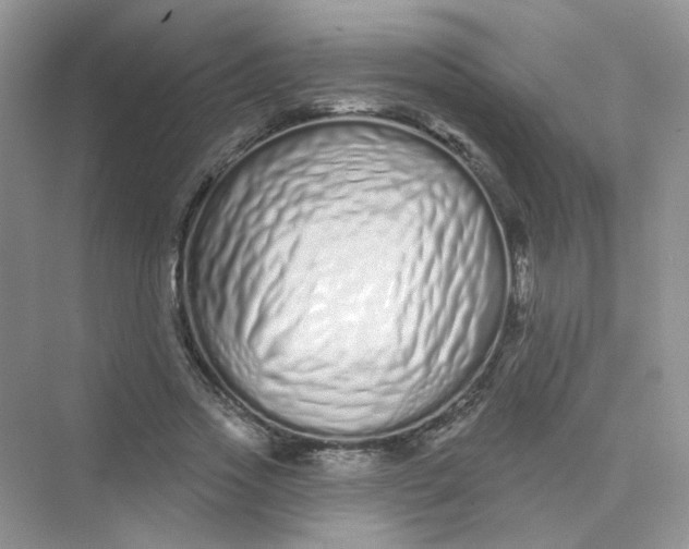 X0000075340733200609292034