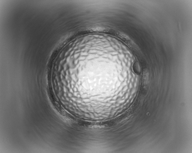 X0000075340734200609292034
