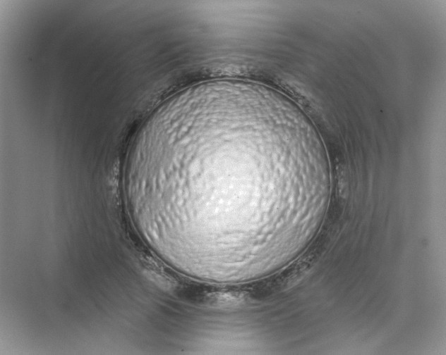 X0000075340737200609292034