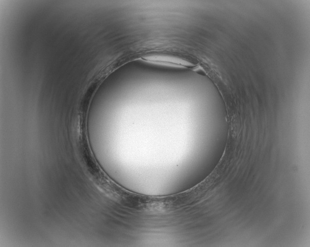 X0000075340740200609292034