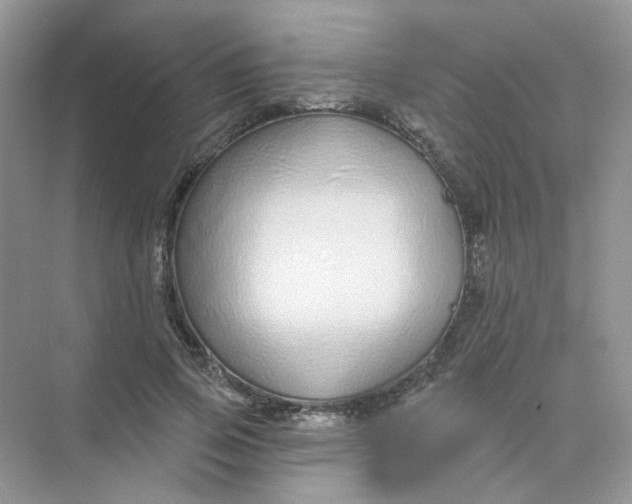 X0000075340741200609292034