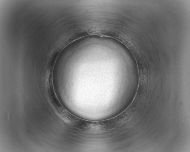 X0000075340742200609292034