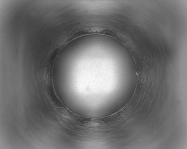 X0000075340743200609292034