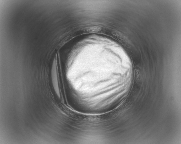 X0000075340745200609292034