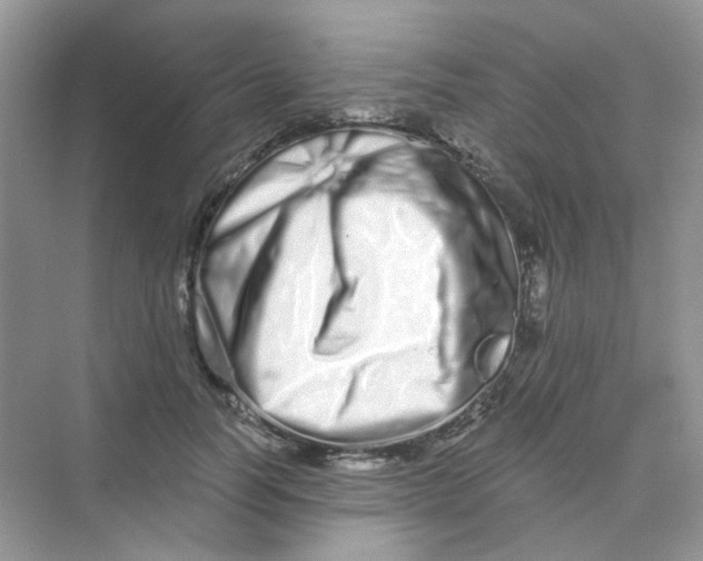 X0000075340746200609292034