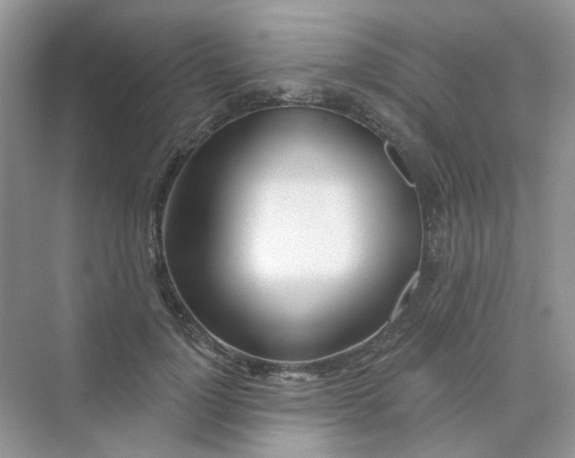 X0000075340748200609292034