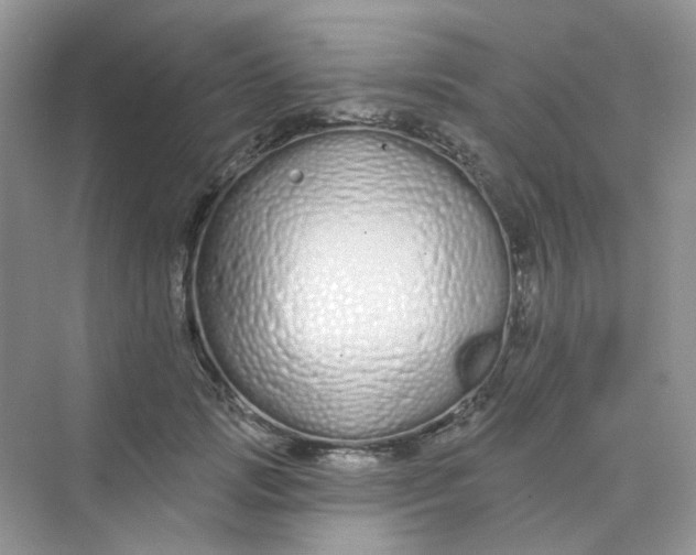 X0000075340749200609292034