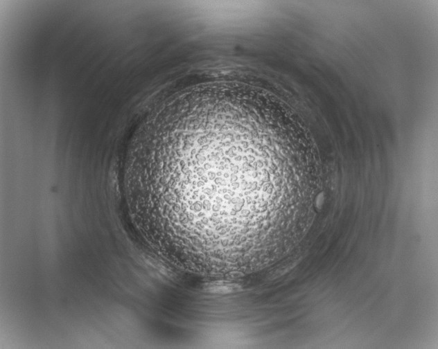 X0000075340754200609292034