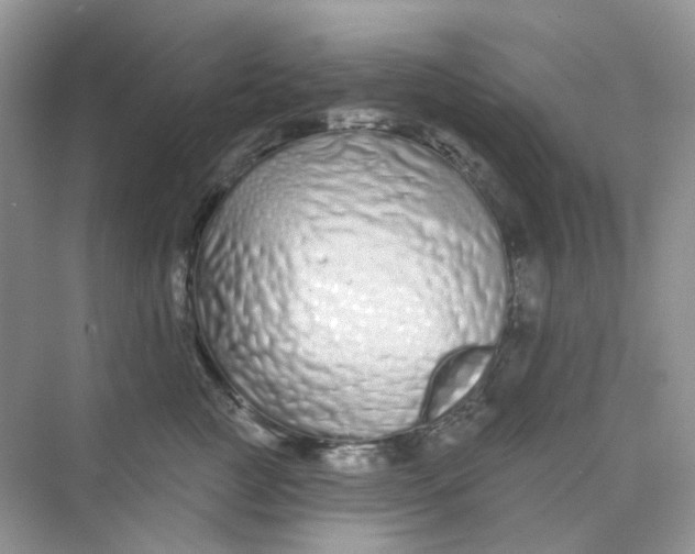 X0000075340761200609292034