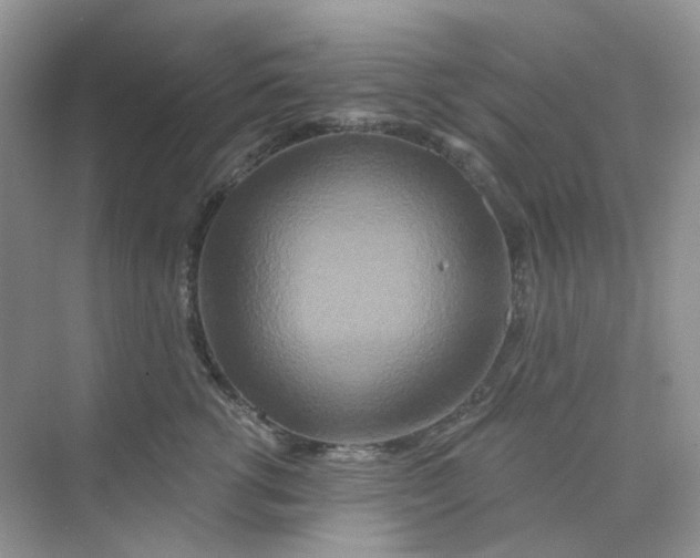 X0000075340762200609292034