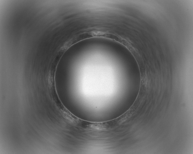X0000075340763200609292034