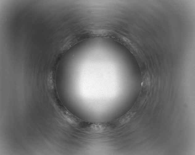 X0000075340764200609292034