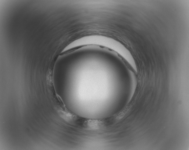 X0000075340766200609292034