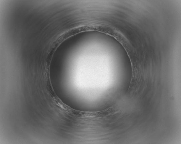 X0000075340773200609292034