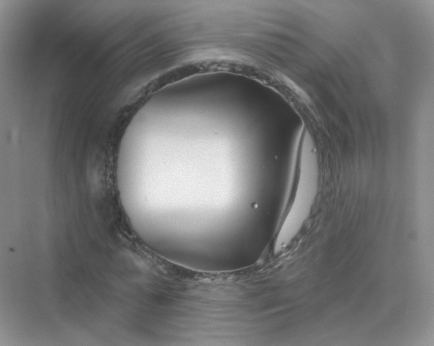 X0000075340775200609292034