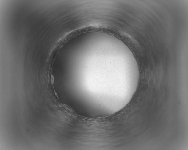 X0000075340776200609292034