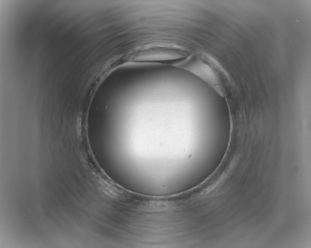 X0000075340777200609292034