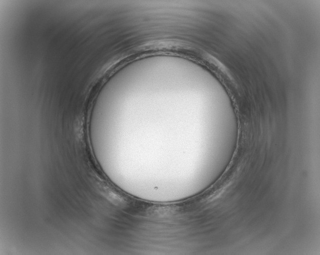 X0000075340778200609292034