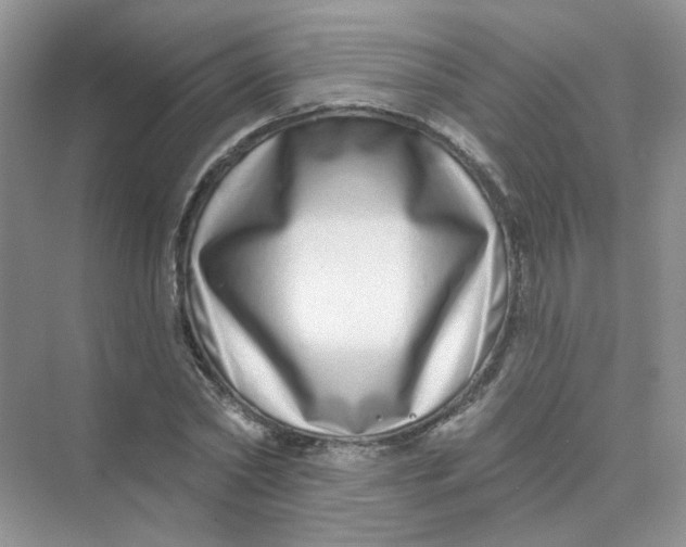X0000075340782200609292033