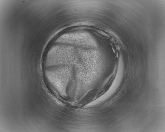 X0000075340784200609292033