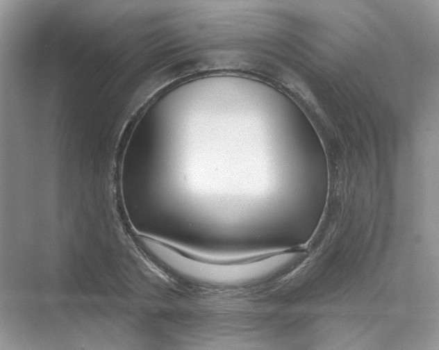 X0000075340786200609292033
