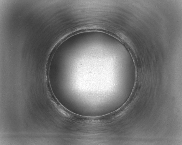 X0000075340789200609292033