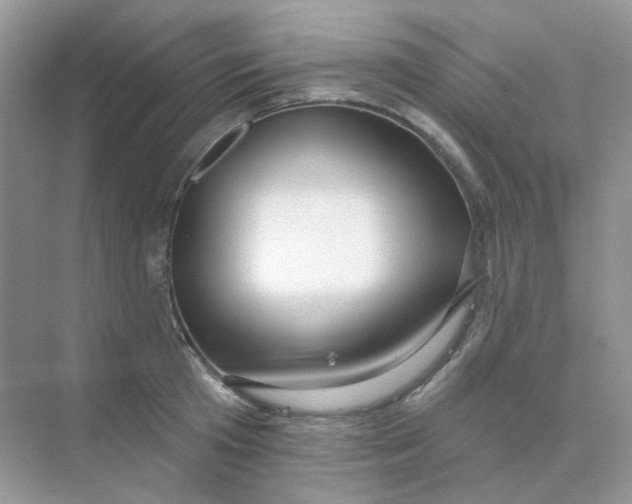 X0000075340801200609292033