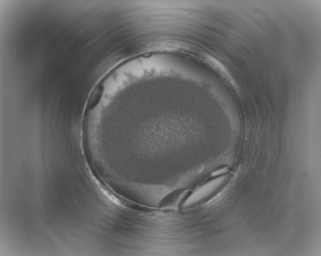 X0000075340802200609292033