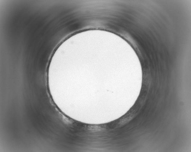 X0000075340807200609292033