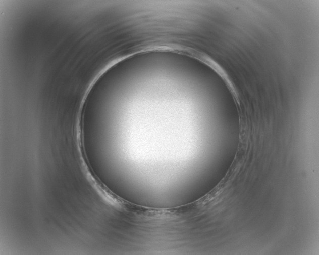 X0000075340811200609292033
