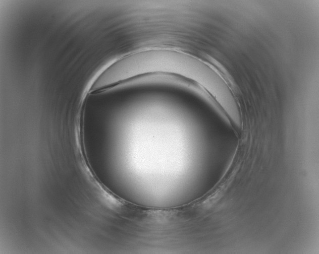 X0000075340812200609292033