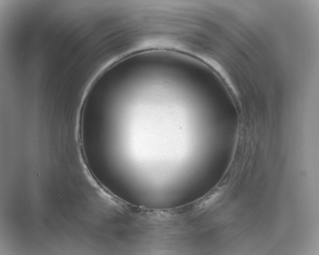 X0000075340815200609292033