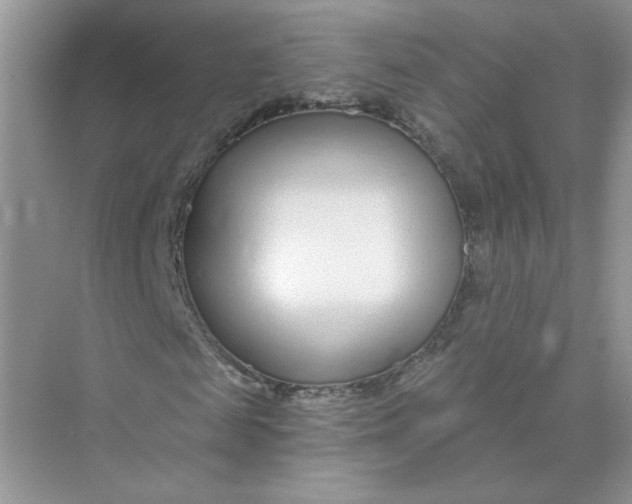 X0000075340817200609292032