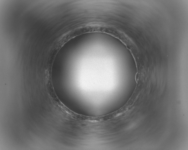 X0000075340821200609292032