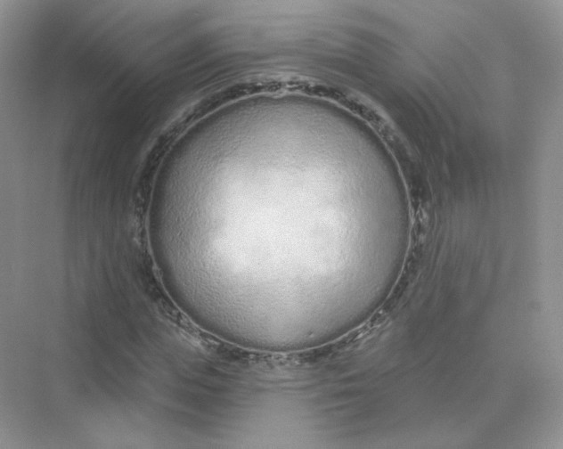 X0000075340823200609292032