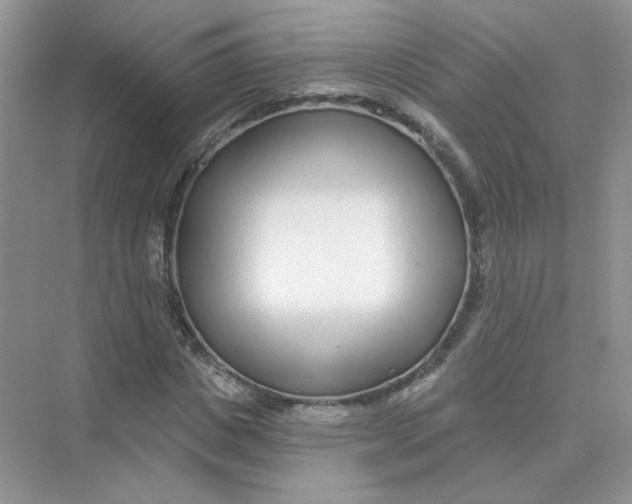 X0000075340825200609292032