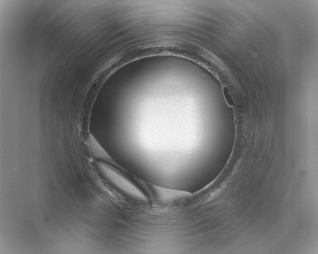 X0000075340826200609292032