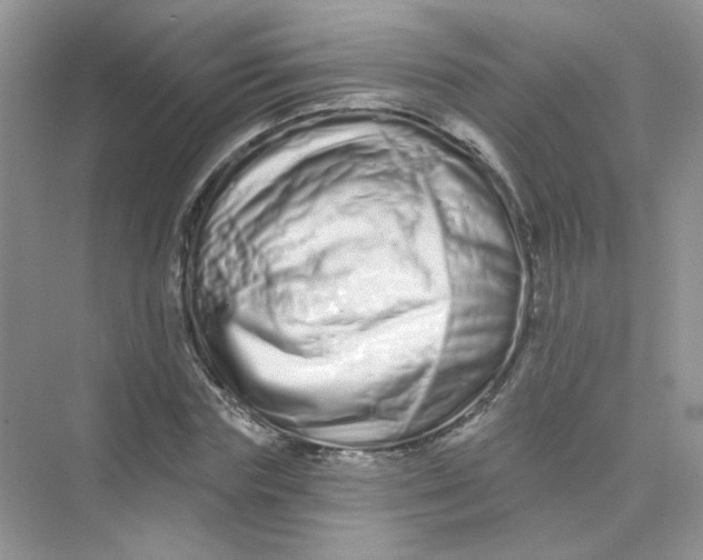 X0000075340827200609292032