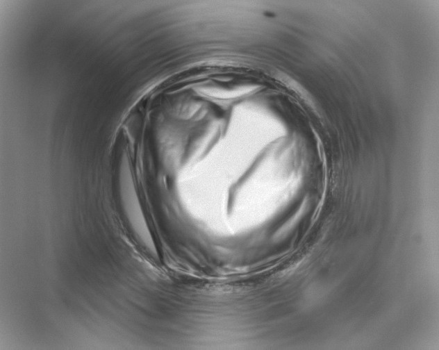 X0000075340829200609292032