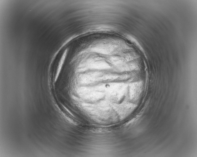 X0000075340835200609292032