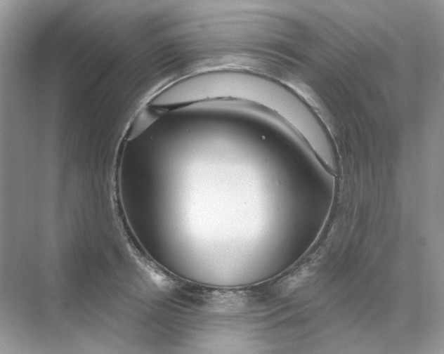 X0000075340850200609292033
