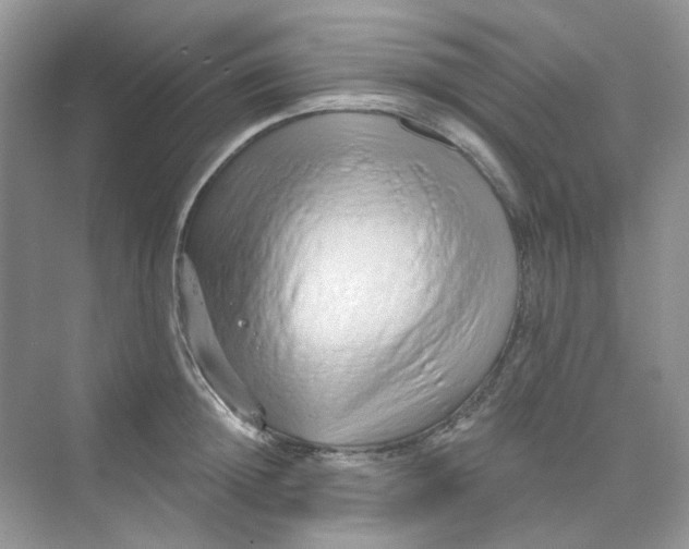 X0000075340852200609292033