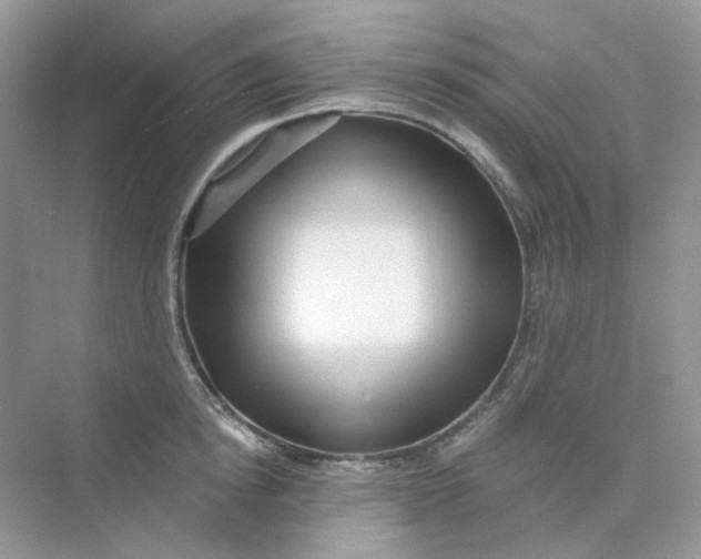 X0000075340854200609292033