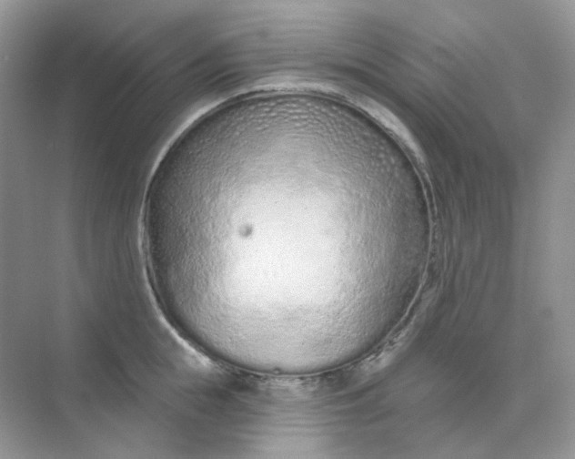 X0000075340855200609292033