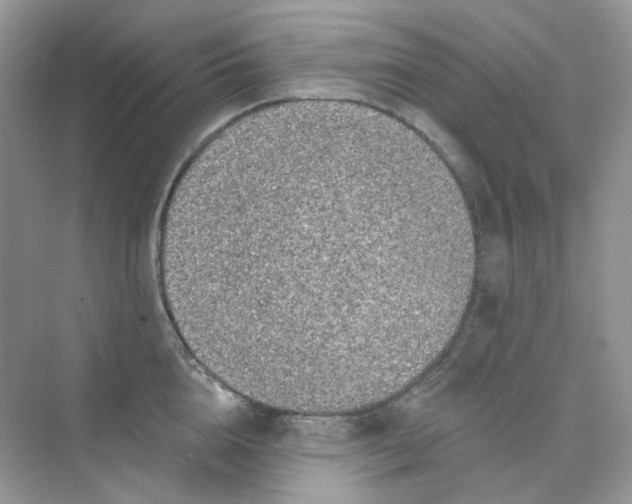 X0000075340856200609292033