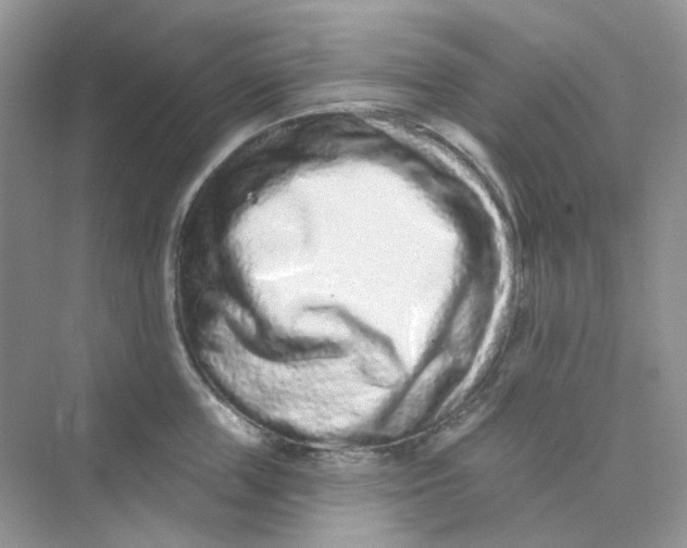 X0000075340859200609292033