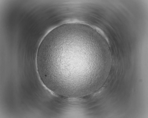 X0000075340863200609292033